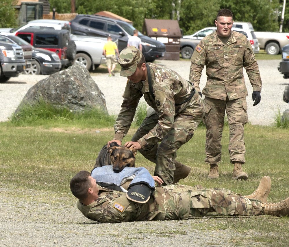 549th Military Working Dog Detachment showcases abilities