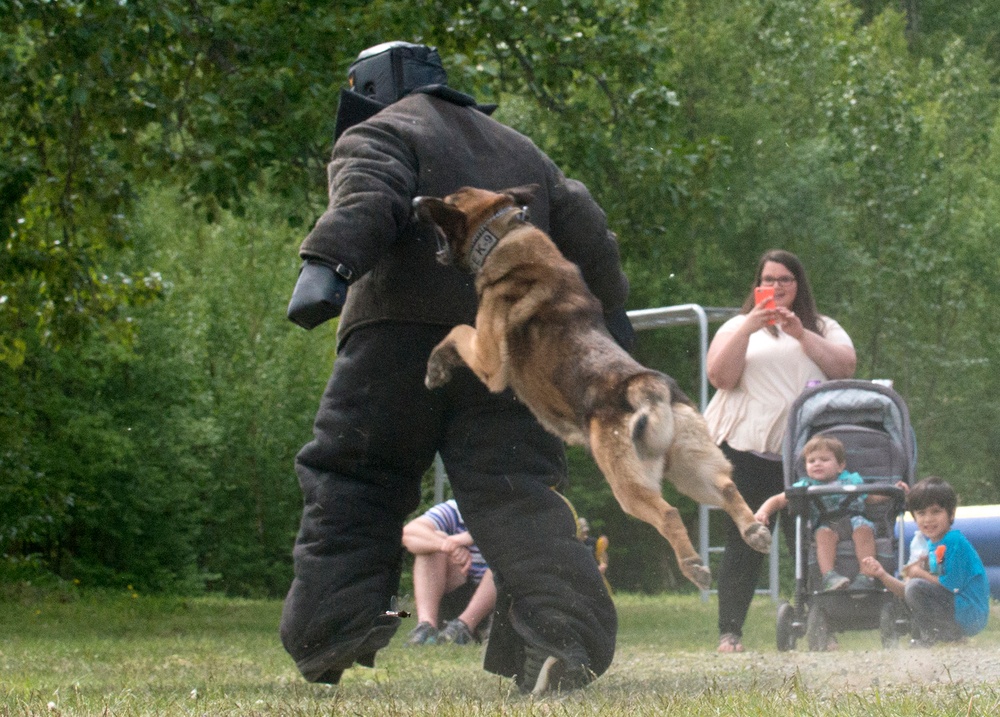 549th Military Working Dog Detachment showcases abilities