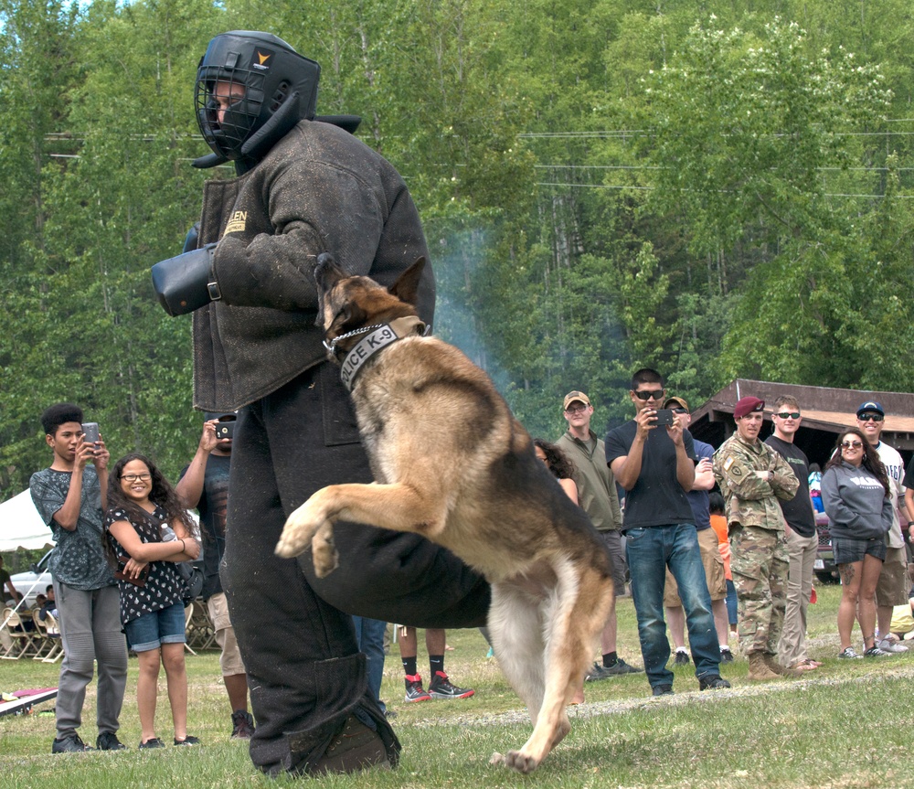 549th Military Working Dog Detachment showcases abilities