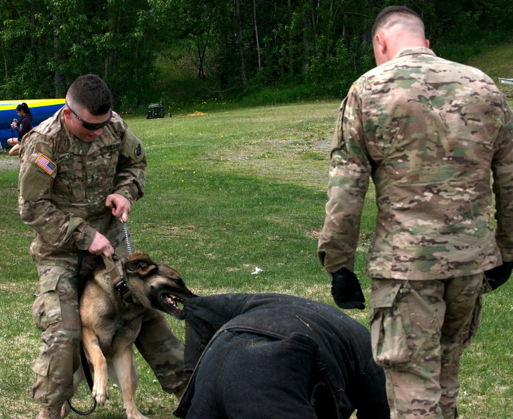 549th Military Working Dog Detachment showcases abilities