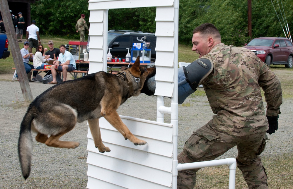 549th Military Working Dog Detachment showcases abilities