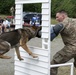 549th Military Working Dog Detachment showcases abilities