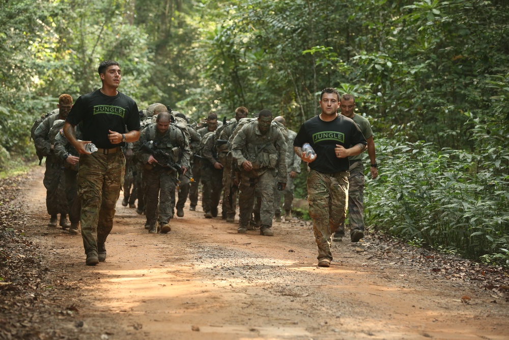 Jungle Survival School