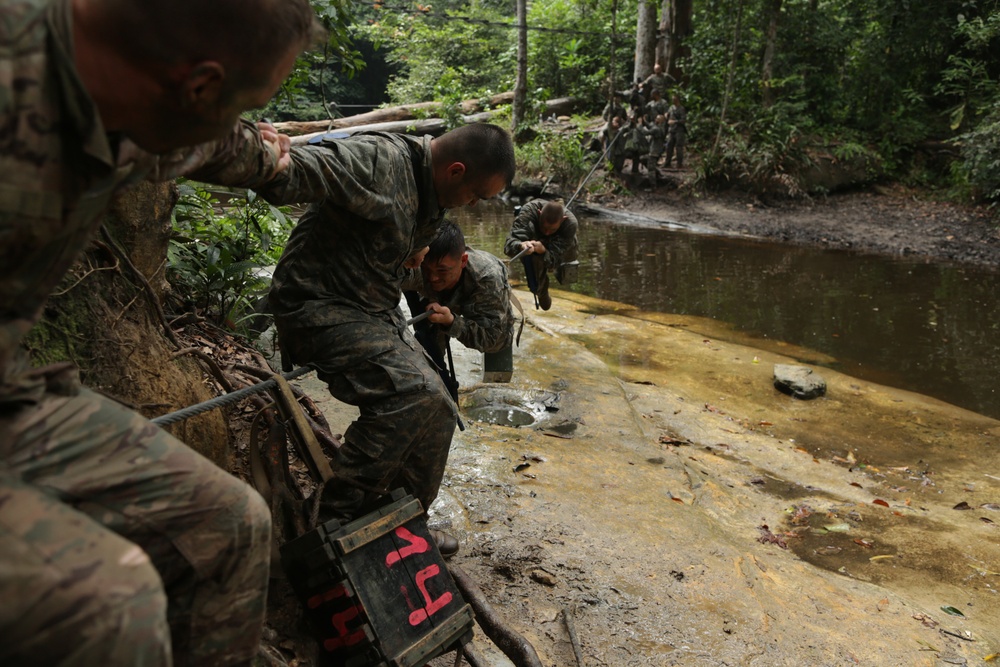 Jungle Survival School