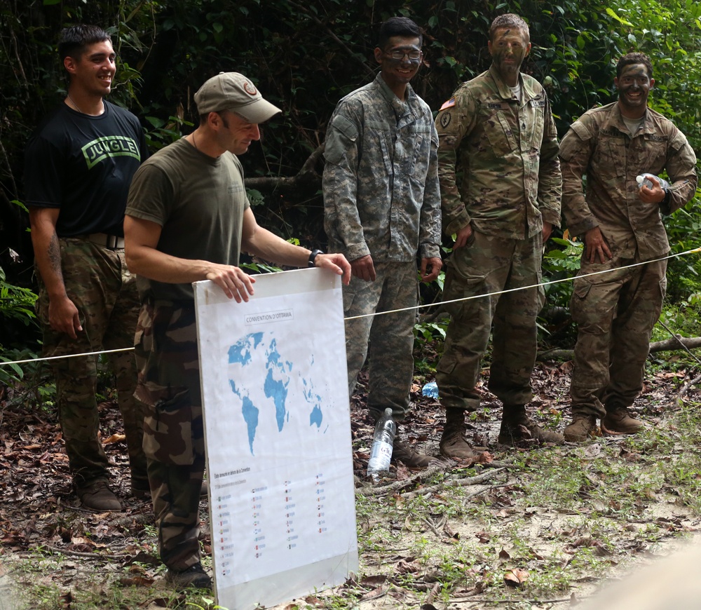 Jungle Survival School