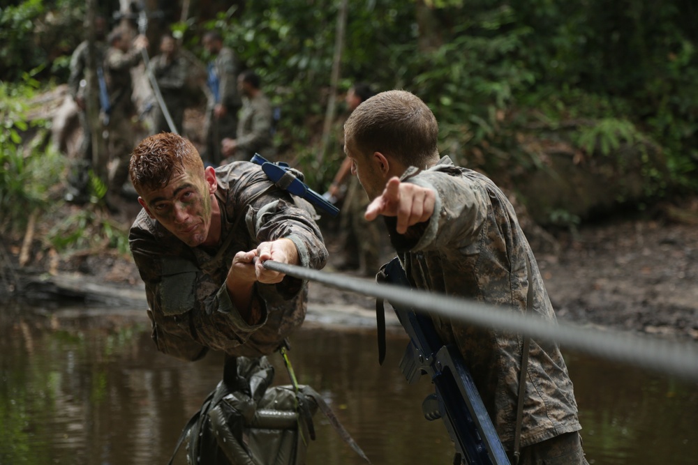 Jungle Survival School