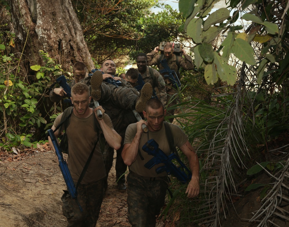 Jungle Survival School