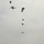 Normandy D-Day Jump