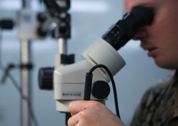 Hammer to fit, Paint to match