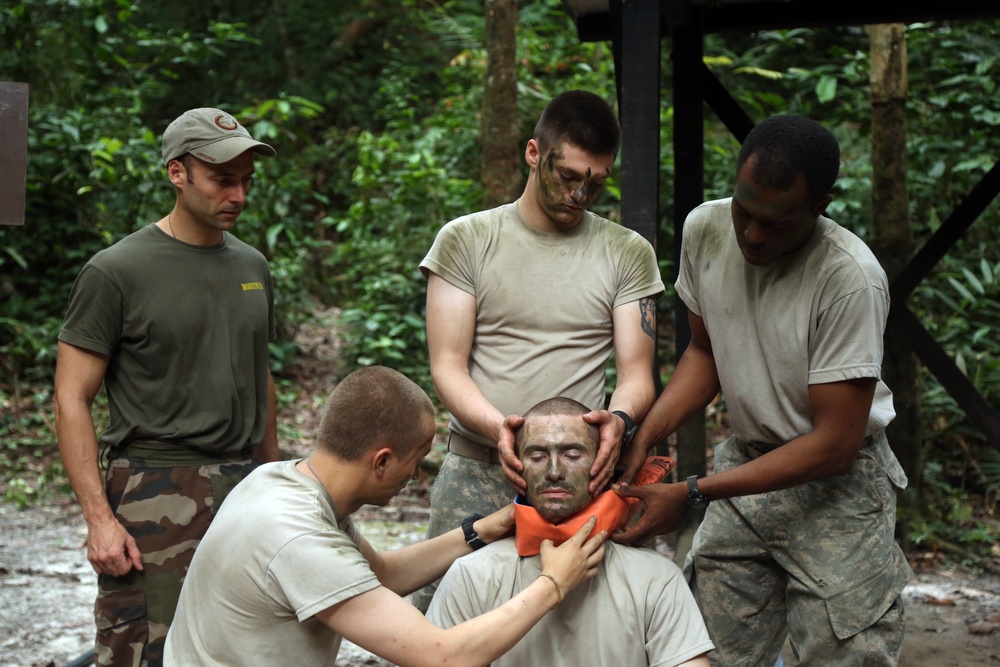 Jungle Survival School