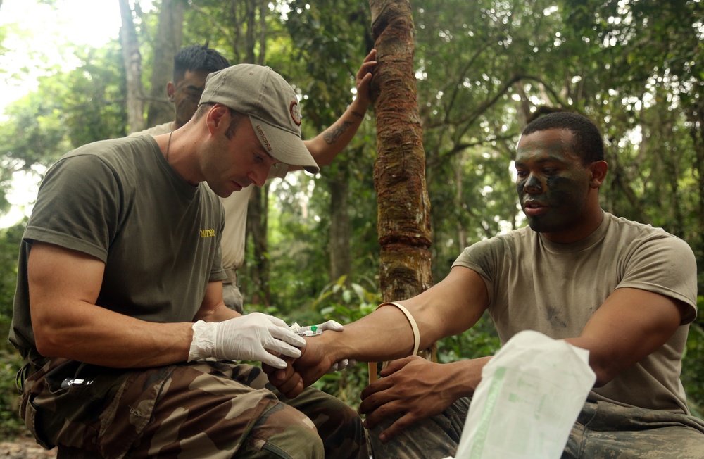 Jungle Survival School