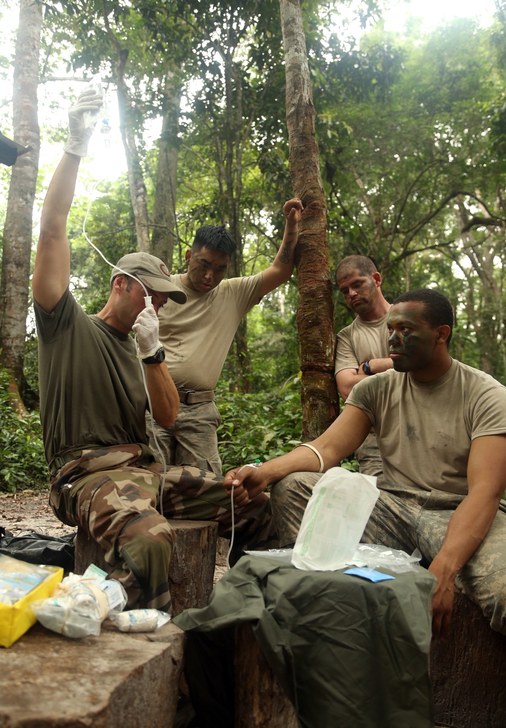 Jungle Survival School