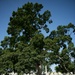 Steve Van Hoven, Arlington National Cemetery’s horticulture division chief, conducts a tour in ANC