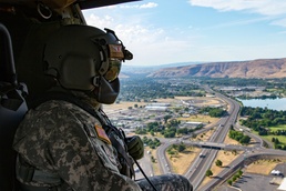 Hawk over the highway
