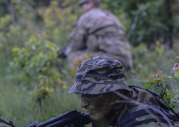 Multinational Air Assault, Anakonda 16