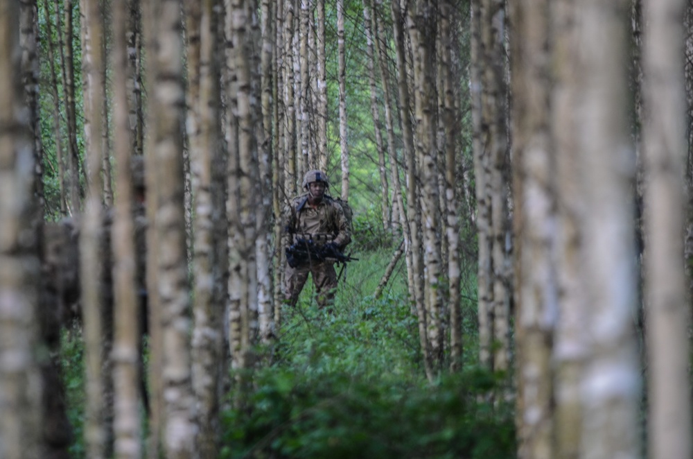 Objective capture, air assault, Anakonda 16