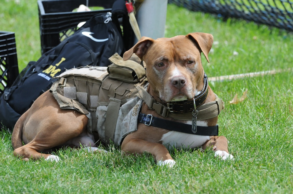 2016 DoD Warrior Games