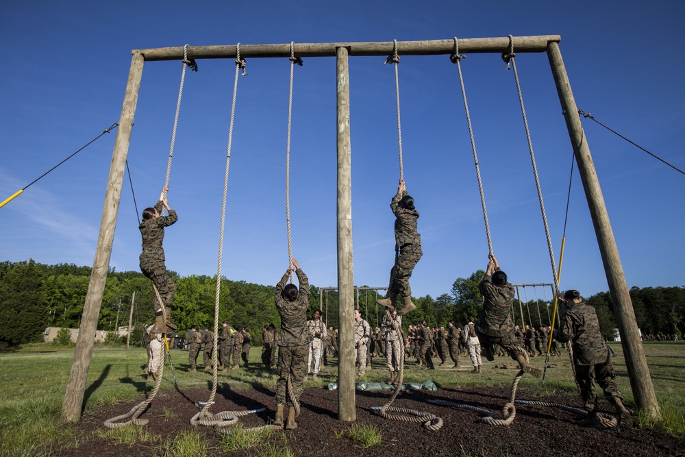 India Co. Obstacle Course