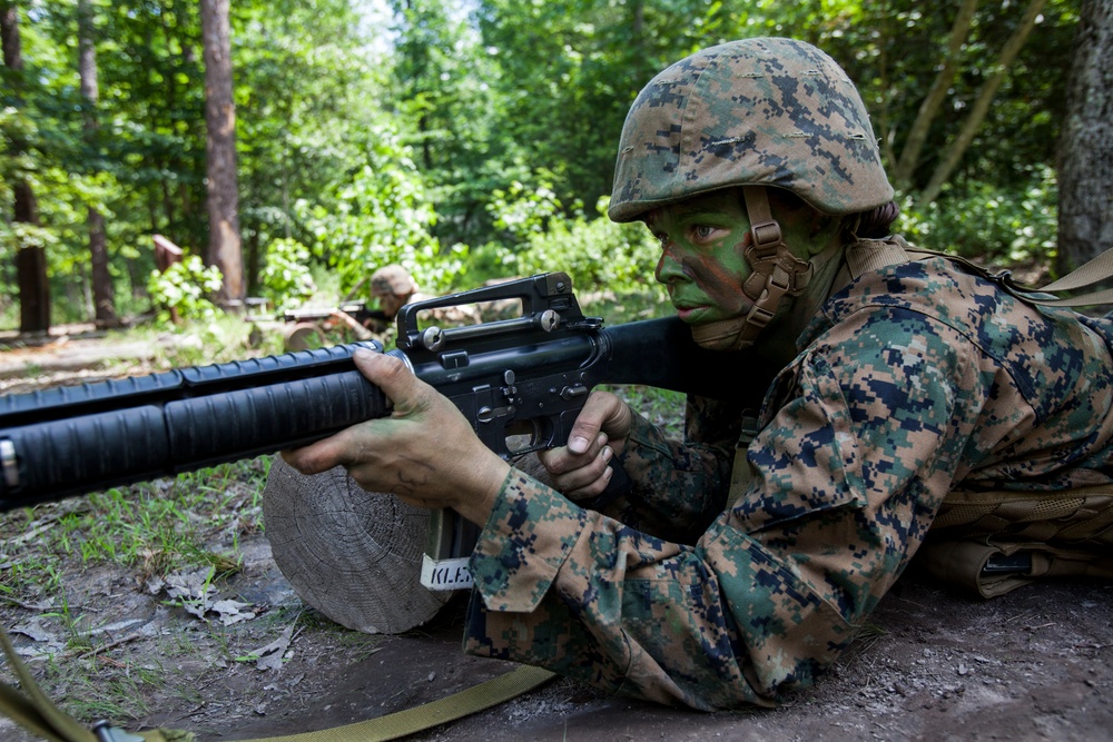 Charlie Co. Fireteam Assault Course