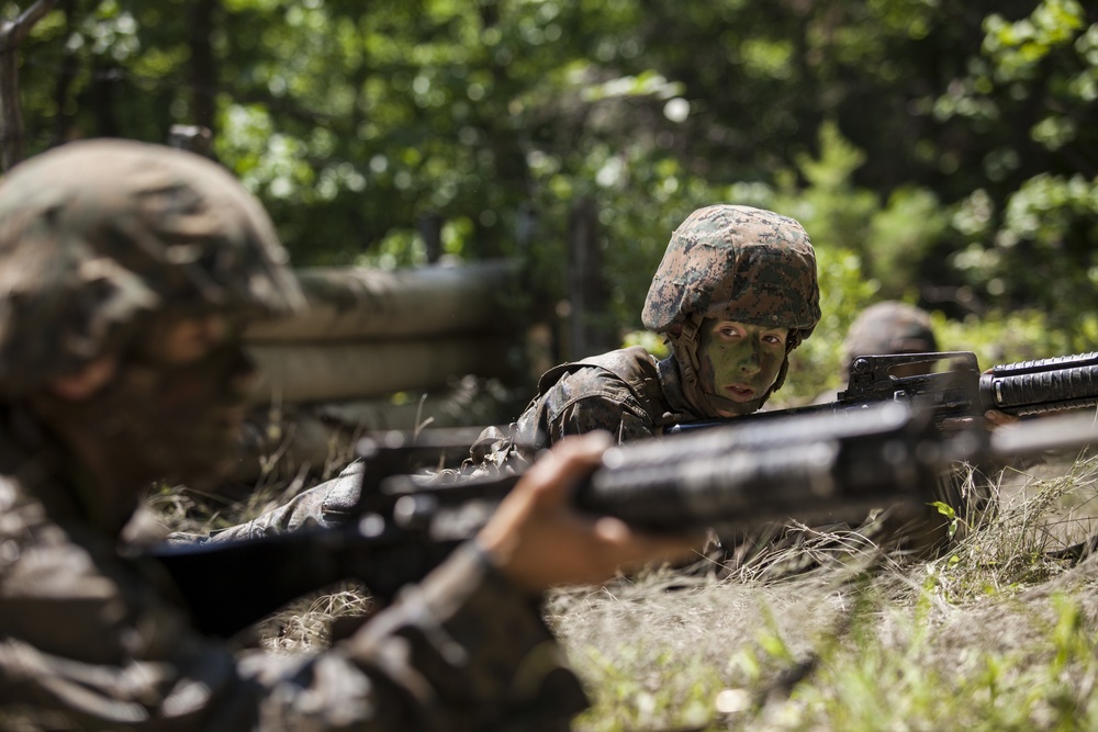 Charlie Co. Fireteam Assault Course