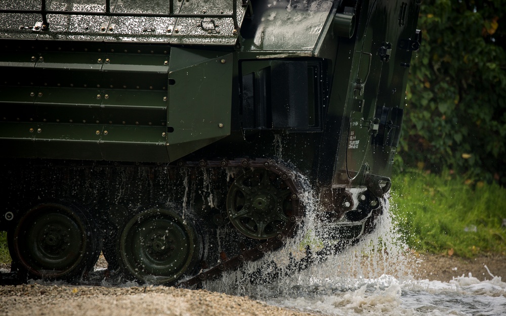 Splashin' in the Bay