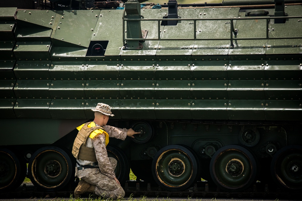 Splashin' in the Bay