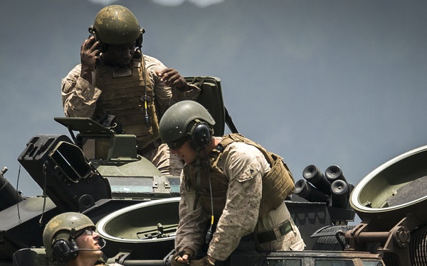 Splashin' in the Bay