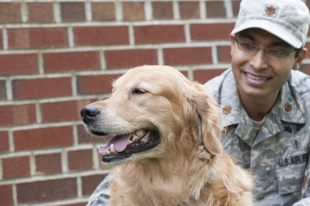 Lucky best sale service dog