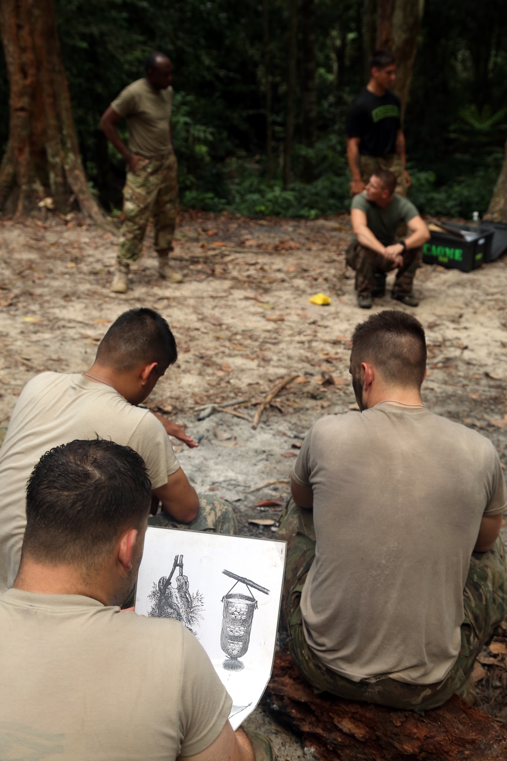 Jungle Survival School