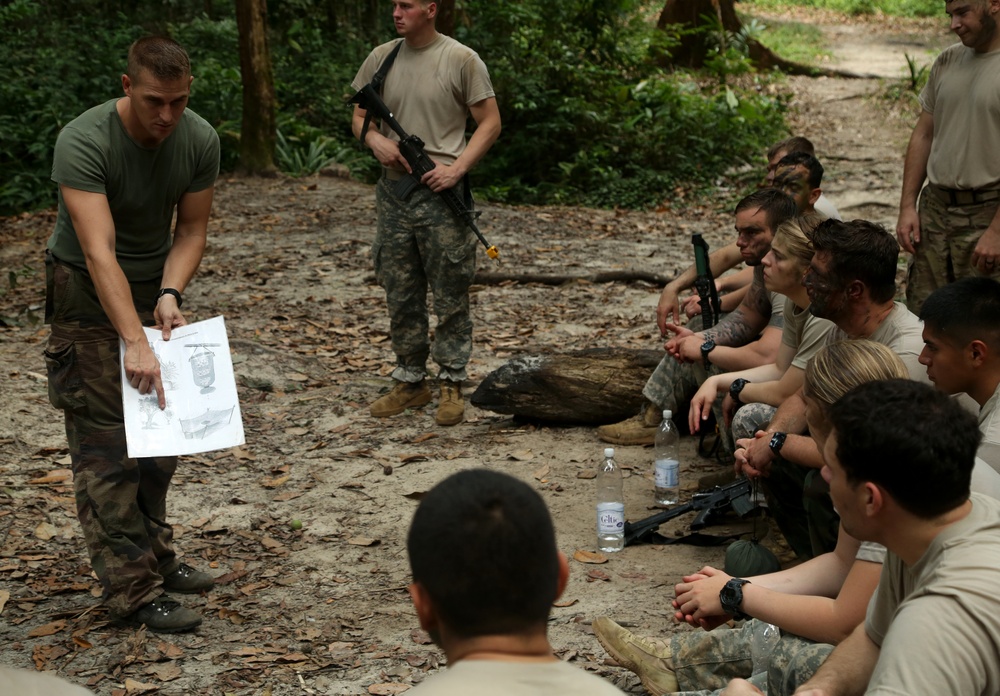 Jungle Survival School