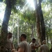 Jungle Survival School