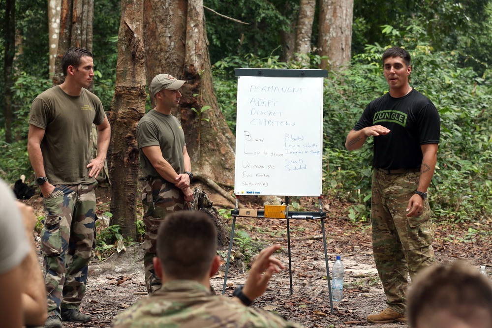 Jungle Survival School