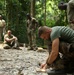 Jungle Survival School