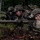 Paratroopers perform platoon attack at Anakonda 2016
