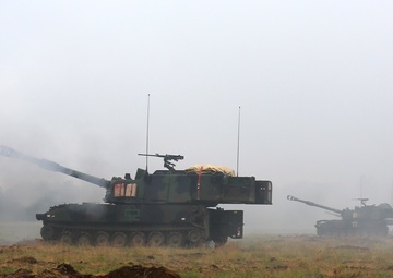 Operation Anakonda 2016