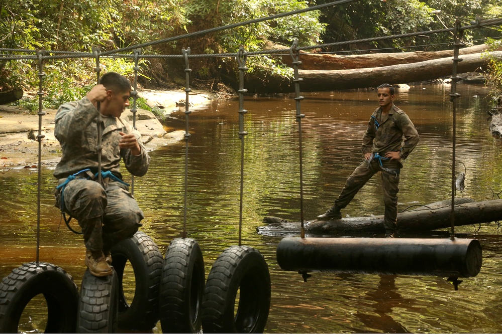 Jungle Survival School