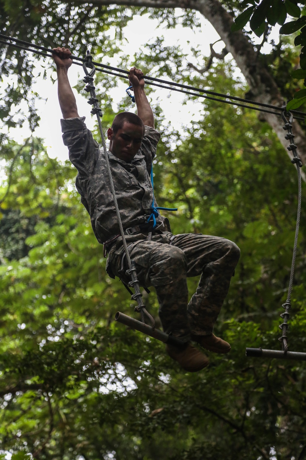 Jungle Survival School