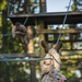 PMO promote camaraderie, teamwork during confidence course