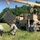 Sling Load Operations