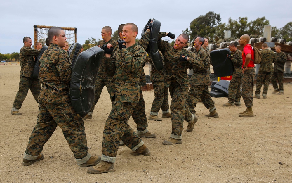 Co. A - Confidence Course I