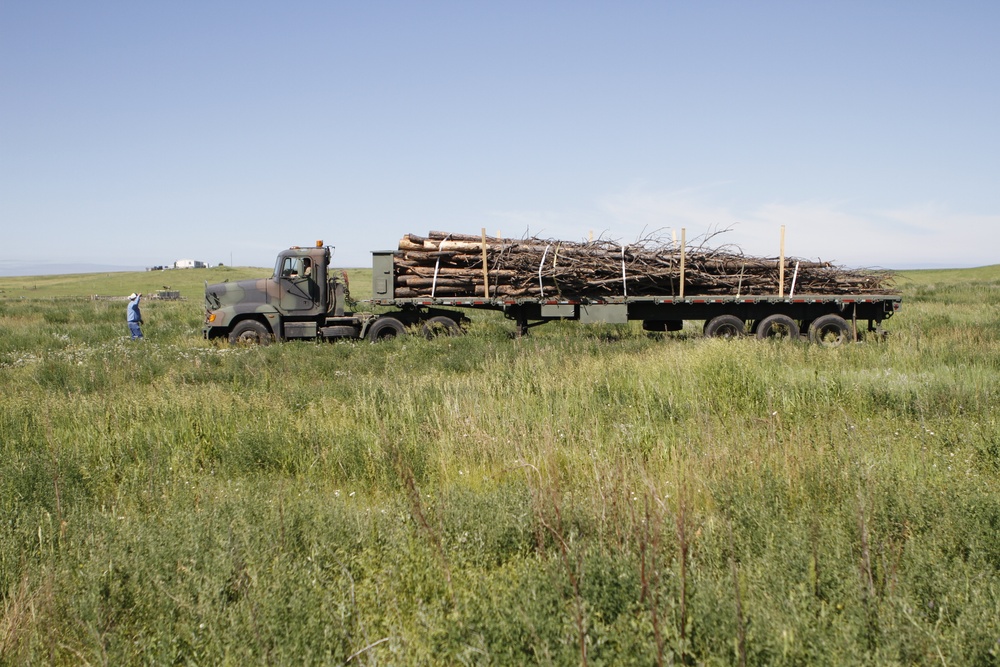 Firewood Delivery