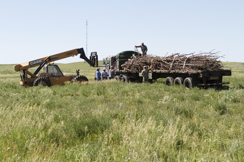 Firewood Delivery