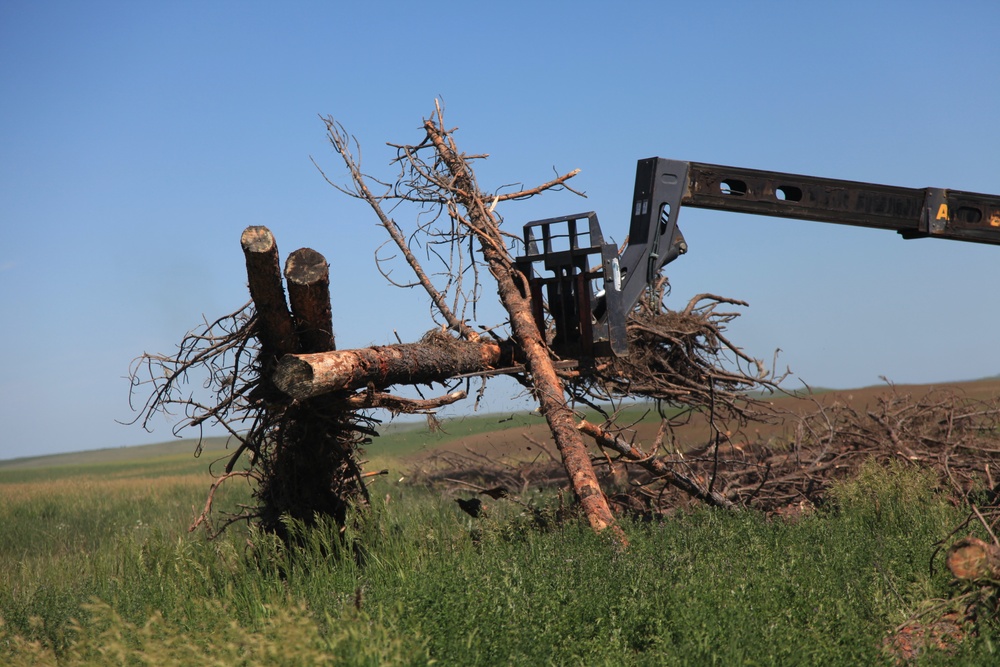 Firewood Delivery