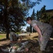 Koa Moana 16-4 Marines train to save lives
