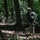Running through the Woods