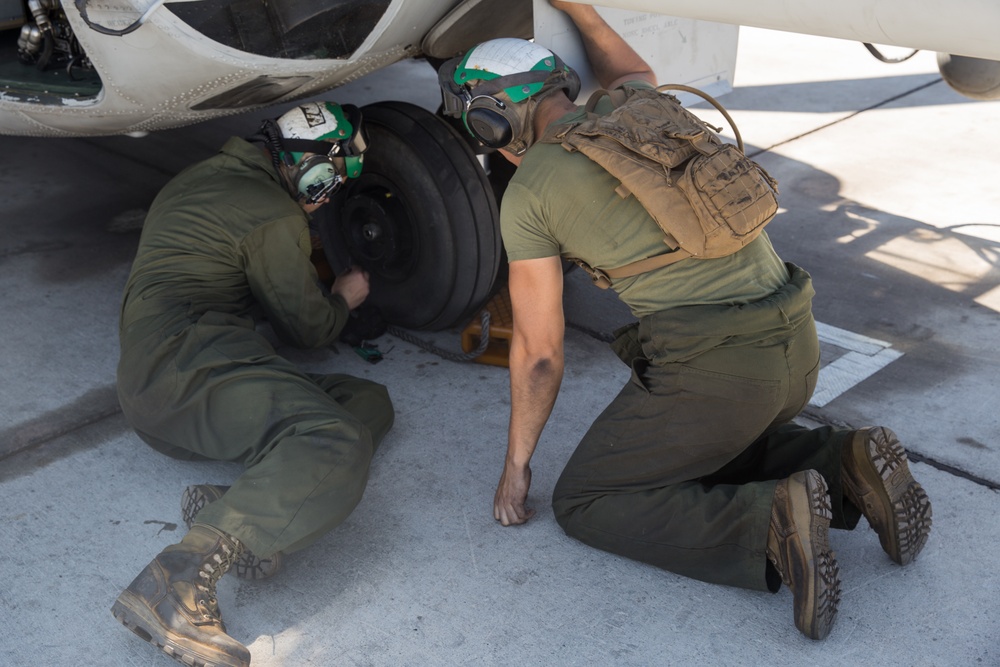 RUT: ACE Maintenance