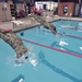 NY Air National Guardsmen &quot;dive&quot; into German badge competition