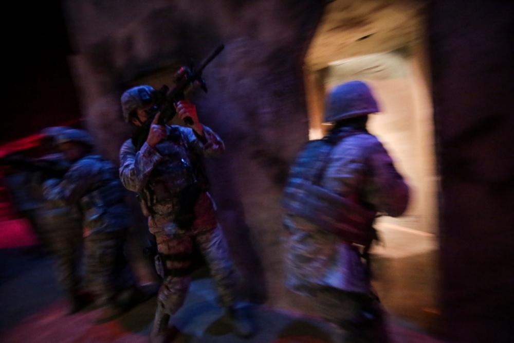 Night moves: Security Forces train in low light
