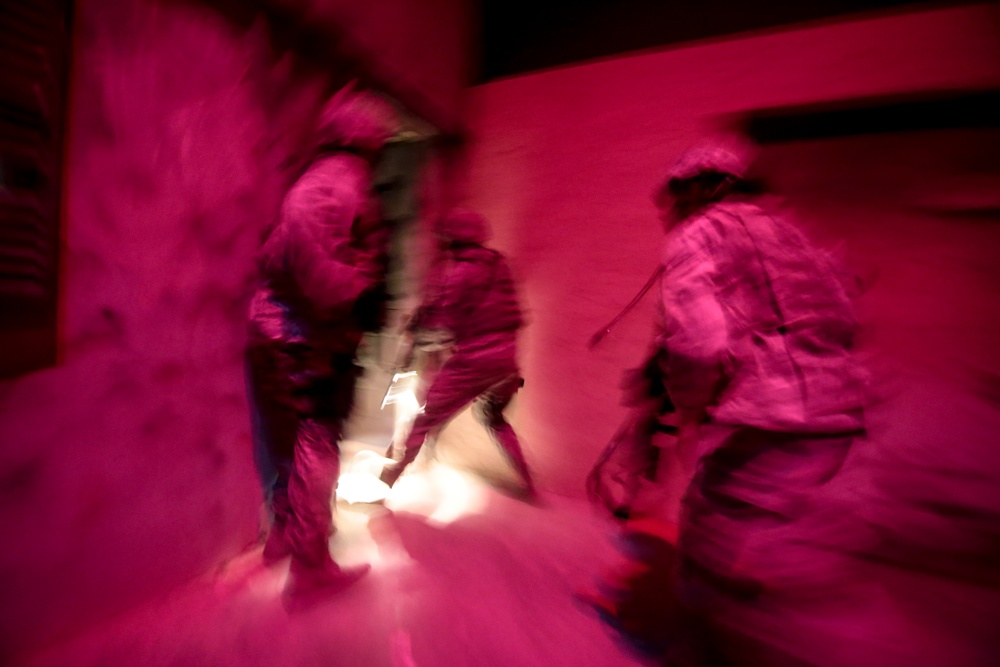 Night moves: Security Forces train in low light