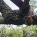 Marine recruits learn to tackle obstacles on Parris Island confidence course